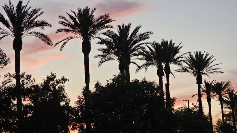 Rotary Park - Scottsdale, AZ