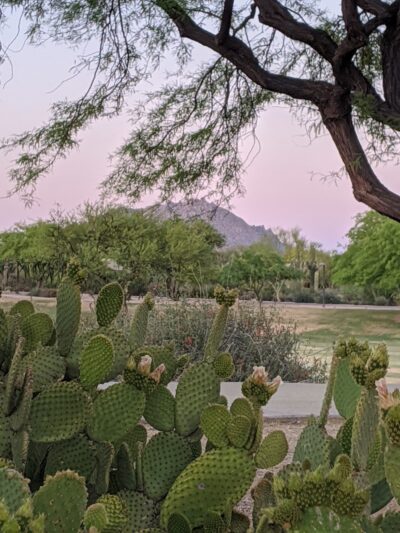 Sonoran Hills Park - Scottsdale, AZ