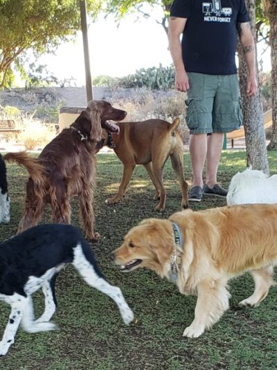 Sonoran Hills Park - Scottsdale, AZ
