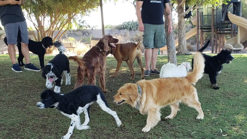 Sonoran Hills Park - Scottsdale, AZ