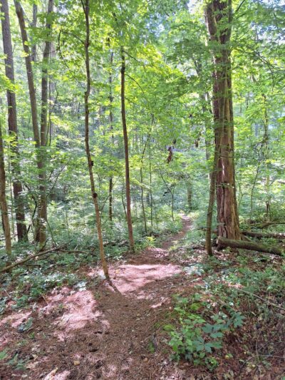 Twisted Oliver MTB trail - Scottsville, KY