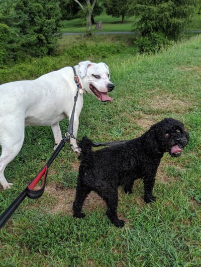 Levee Trail - Scottsville, VA