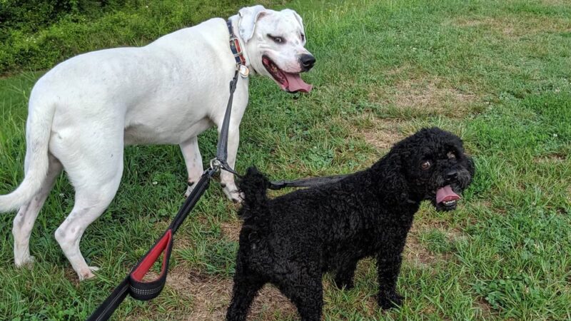 Levee Trail - Scottsville, VA