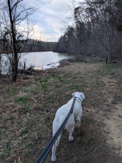 Totier Creek Reservoir Park - Scottsville, VA
