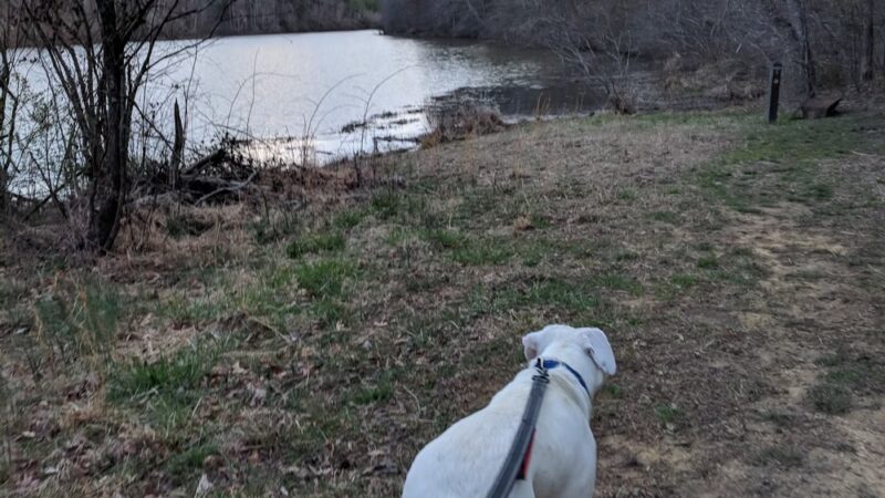 Totier Creek Reservoir Park - Scottsville, VA