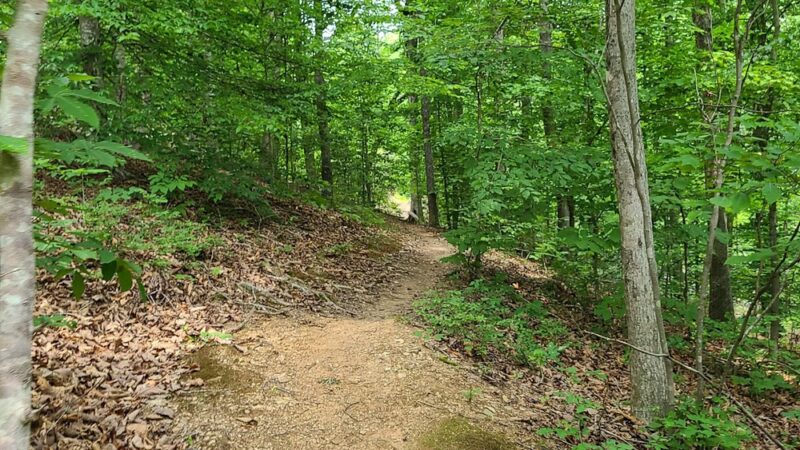 Totier Creek Reservoir Park - Scottsville, VA