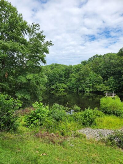 Van Clief Nature Area - Scottsville, VA