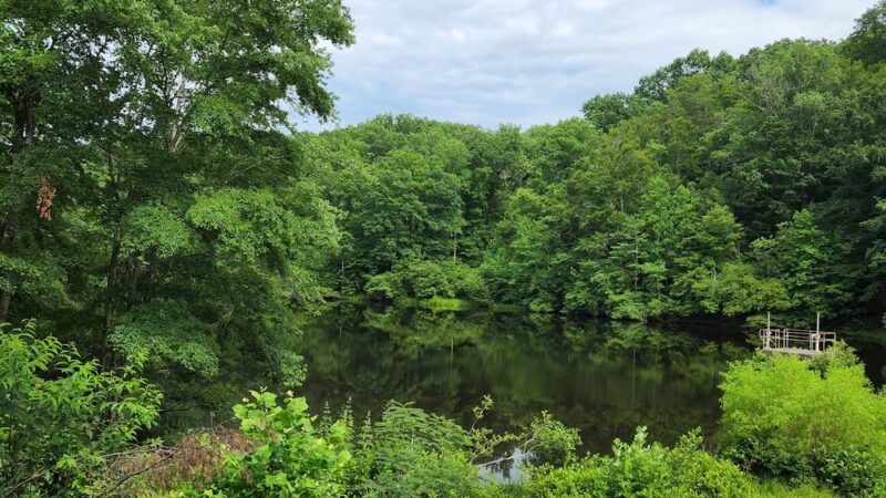 Van Clief Nature Area - Scottsville, VA