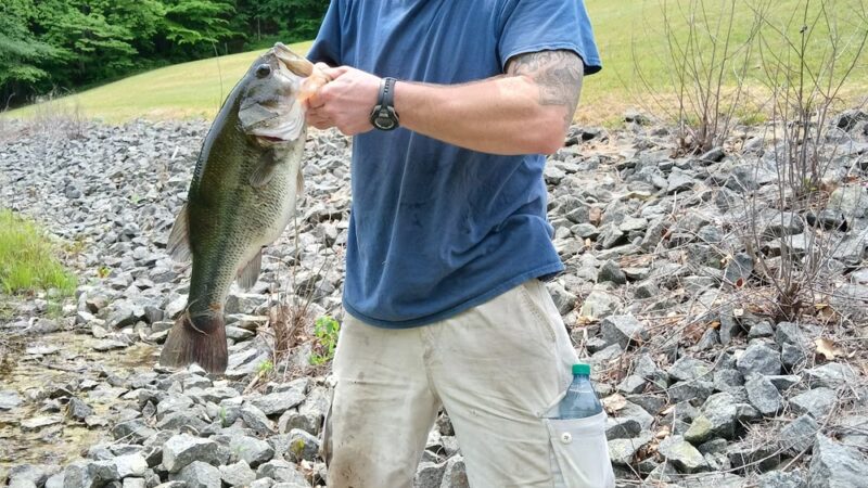 Van Clief Nature Area - Scottsville, VA