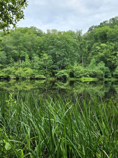 Van Clief Nature Area - Scottsville, VA