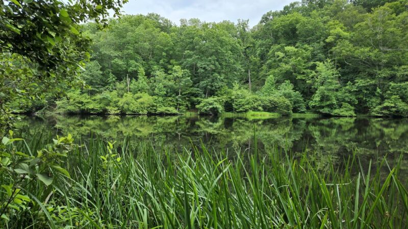Van Clief Nature Area - Scottsville, VA