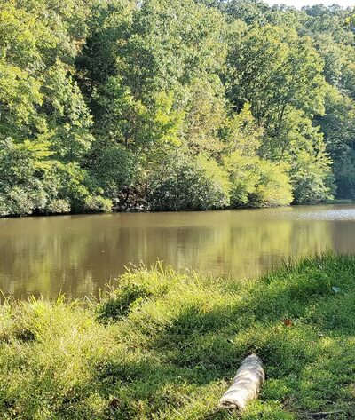 Van Clief Nature Area - Scottsville, VA