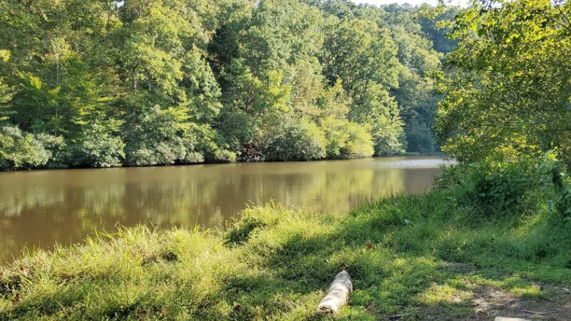 Van Clief Nature Area - Scottsville, VA