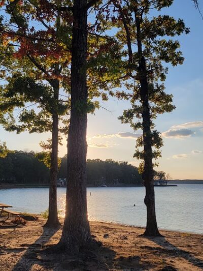 Dogwood Park - Scroggins, TX