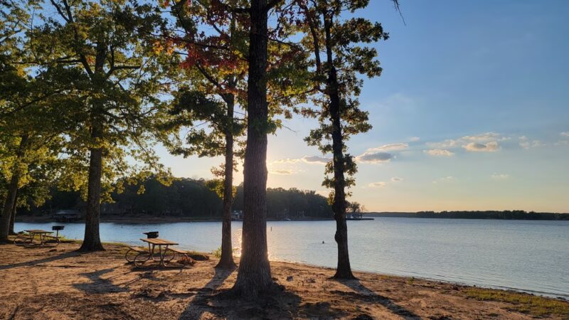 Dogwood Park - Scroggins, TX