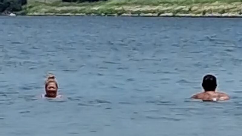 Dogwood Park - Scroggins, TX