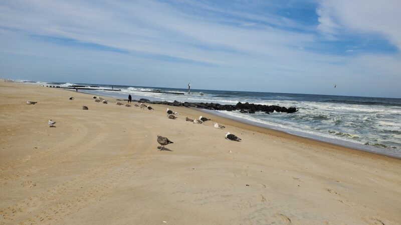 Sea Girt Beach - Sea Girt, NJ