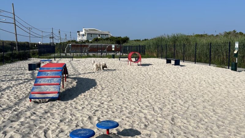 Sea Isle Dog Park - Sea Isle City, NJ