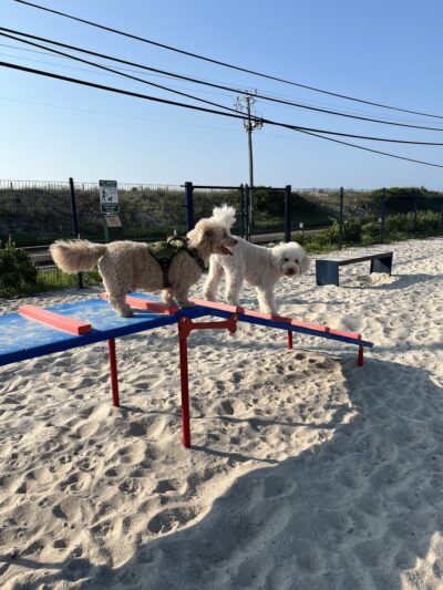 Sea Isle Dog Park - Sea Isle City, NJ