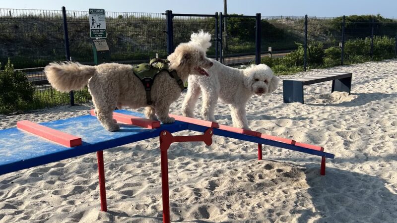 Sea Isle Dog Park - Sea Isle City, NJ