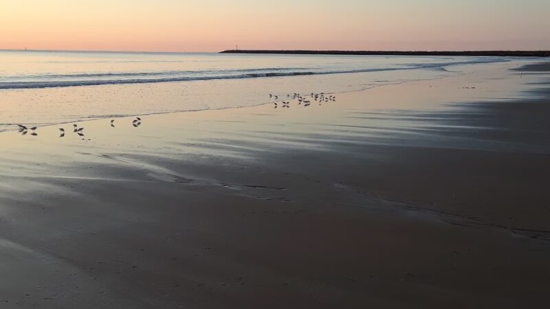 Seabrook Dunes And Beach - Seabrook, NH