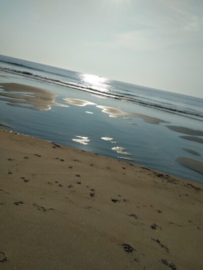 Seabrook Dunes And Beach - Seabrook, NH