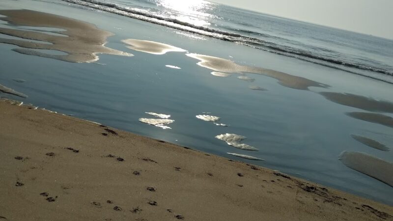 Seabrook Dunes And Beach - Seabrook, NH