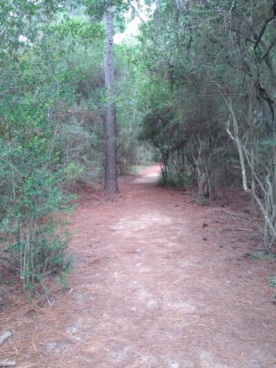 Seabrook Wildlife Refuge and Park - Seabrook, TX