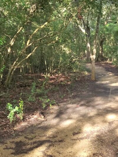 Seabrook Wildlife Refuge and Park - Seabrook, TX