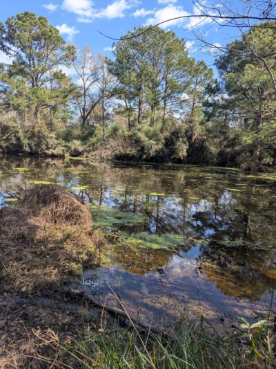 Seabrook Wildlife Refuge and Park - Seabrook, TX