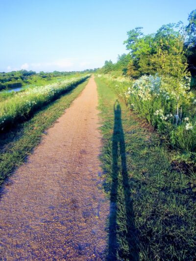 Seabrook Wildlife Refuge and Park - Seabrook, TX