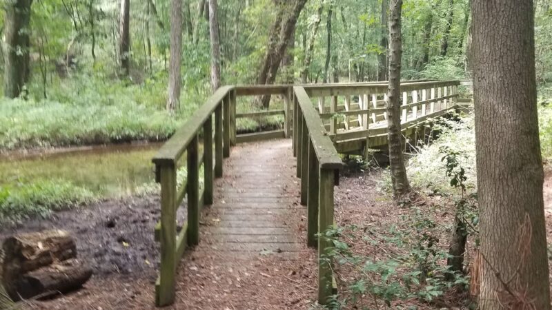 Chapel Branch Nature Trail - Seaford, DE