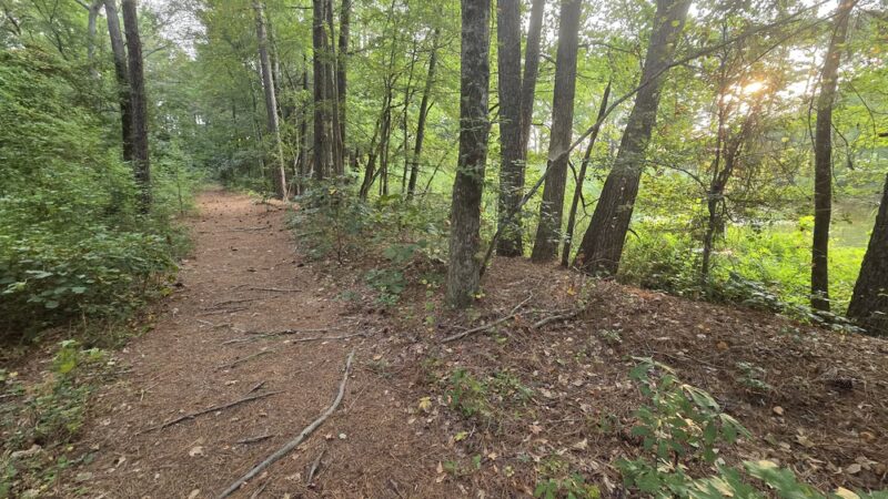 Chapel Branch Nature Trail - Seaford, DE