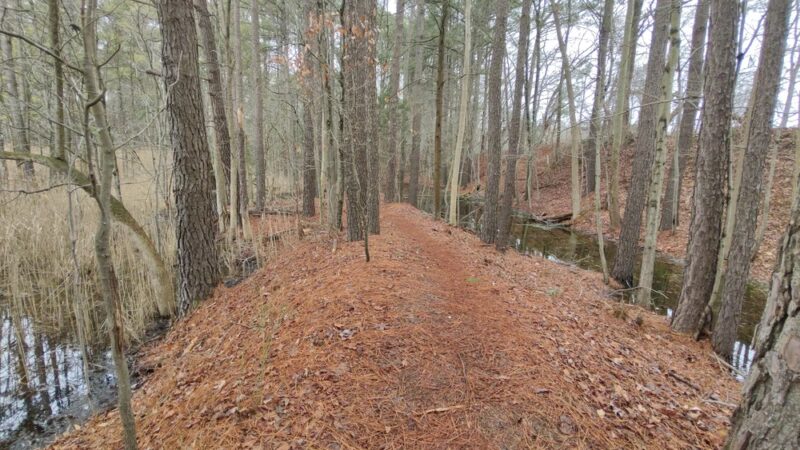 Chapel Branch Nature Trail - Seaford, DE