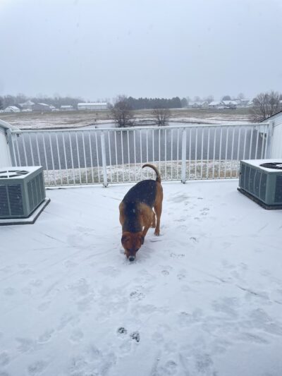 Kiwanis Park - Seaford, DE