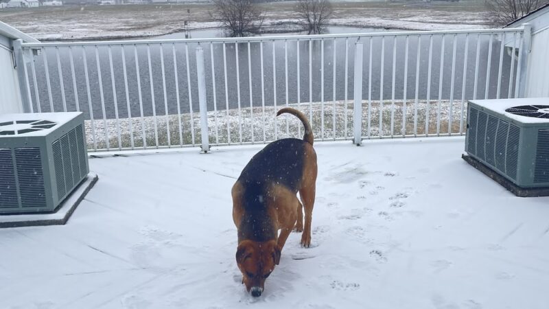 Kiwanis Park - Seaford, DE