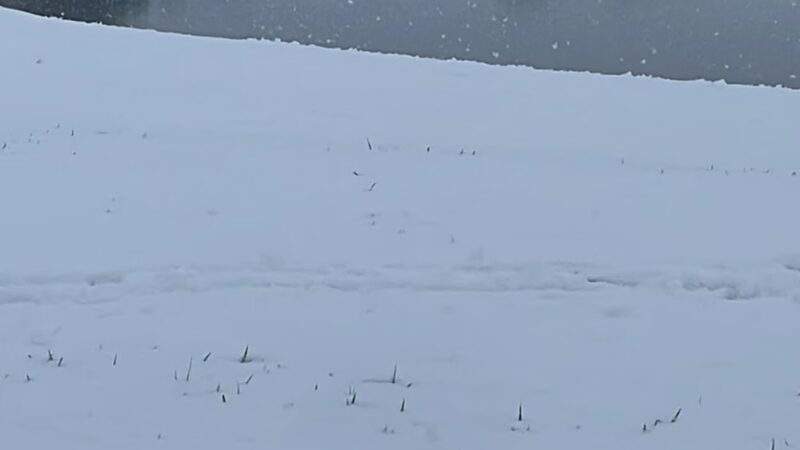 Kiwanis Park - Seaford, DE