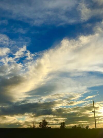 Bluebell Park - Seal Beach, CA