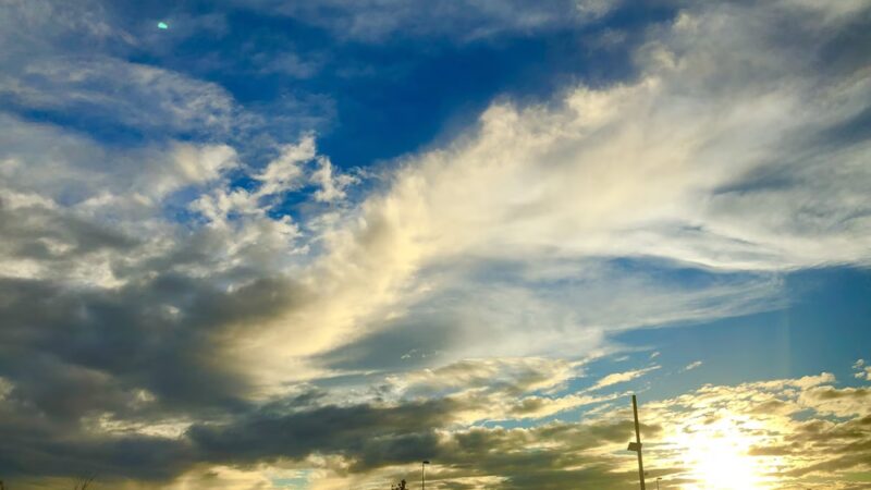 Bluebell Park - Seal Beach, CA