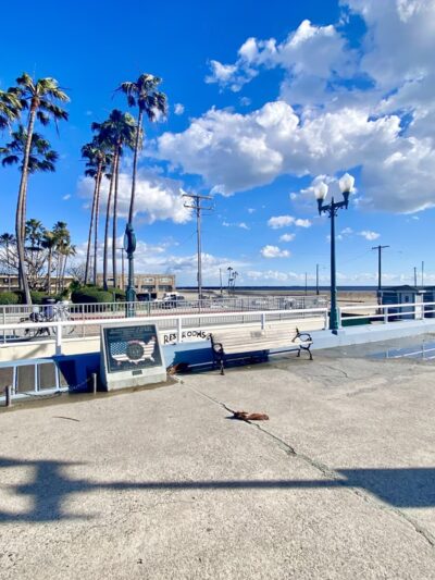 Eisenhower Park - Seal Beach, CA