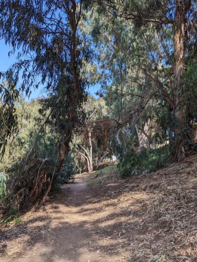 Gum Grove Park - Seal Beach, CA