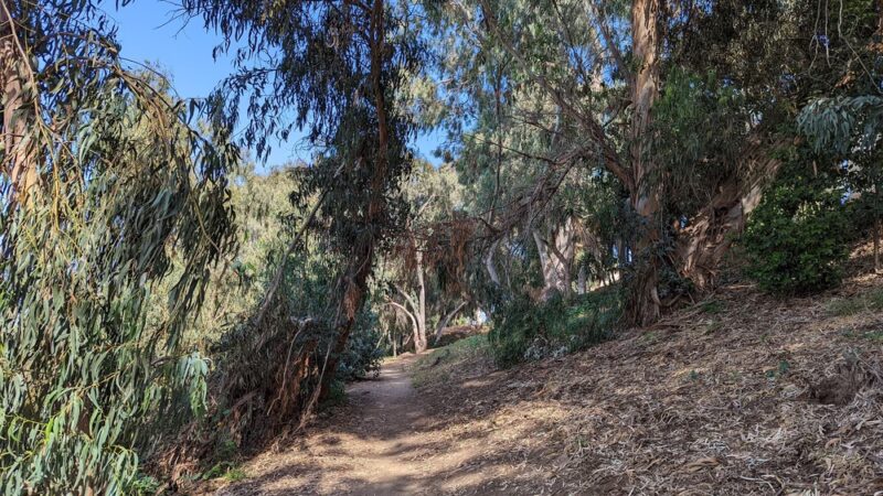 Gum Grove Park - Seal Beach, CA