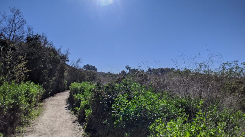 Gum Grove Park - Seal Beach, CA