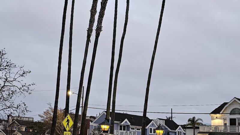 Marina Community Park - Seal Beach, CA