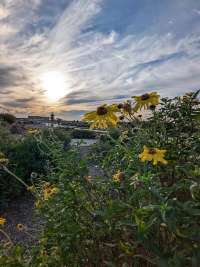 River's End Park - Seal Beach, CA
