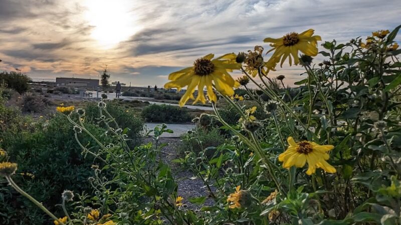 River's End Park - Seal Beach, CA