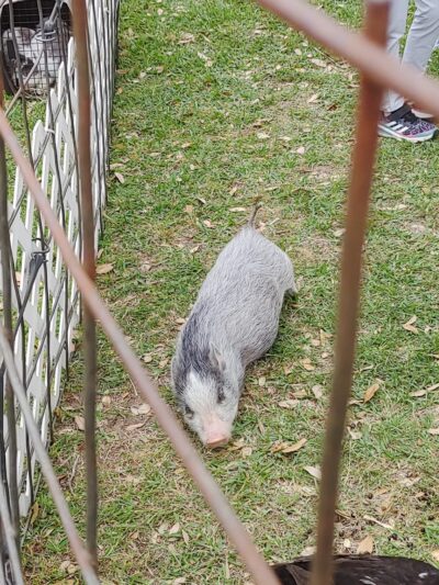 B&PW PARK - Sealy, TX