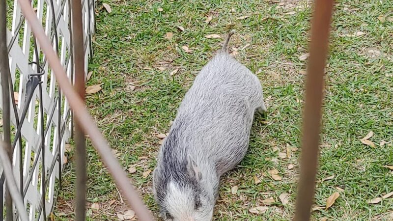 B&PW PARK - Sealy, TX