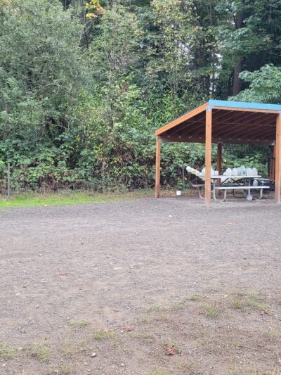 Shoreview Park Off Leash Area Dog Park - Seattle, WA