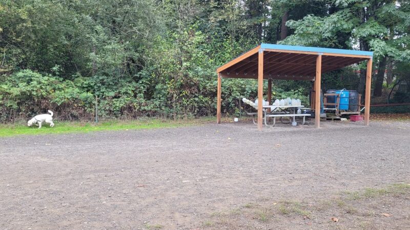 Shoreview Park Off Leash Area Dog Park - Seattle, WA